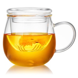 Unbreakable Glass Tea Cup with Infuser and Lid - 13oz Tea Mug for Loose Leaf Tea, Infusion Mug with Glass Filter and Glass Lid