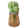 Moisturizing Mascot Cactus Glass BR AG-28085