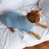 Kazoo Button Up Knit Dog Jumper, Blue, X-Small