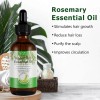 Aceite Romero 120ml Tratamiento Capilar + Cejas + Pestañas