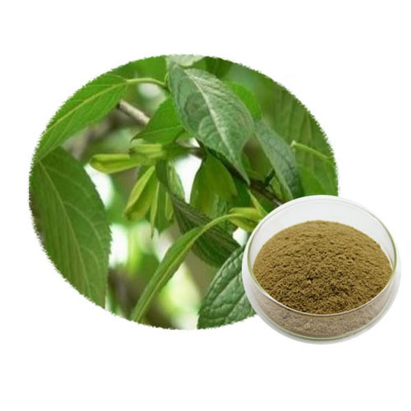 Organic Natural Pure Eucommia Leaf Extract Powder-10.58Ounce (300gram)