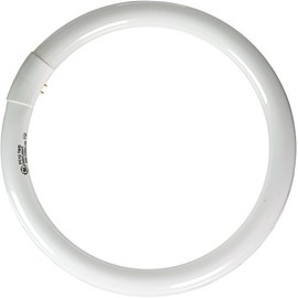 GE Lighting 11039 32-Watt DayLight Circline T9 Light Bulb, by GE Lighting