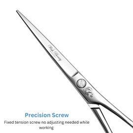 Wishbeauty Hairdressing Scissor Barber Salon Shear Stainless Steel Hair Cutting Scissors for Professional, Hairdressers, Barbers for Women, Men, Children (Silver Cutting Shear)