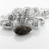 Extra Large Barn Owl Pellets Pack of 20 and Bone