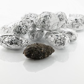 Extra Large Barn Owl Pellets Pack of 20 and Bone Sorting Guide