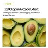 HOLIKA HOLIKA Eyefessional Eye Patch (Anti-wrinkle Avocado)