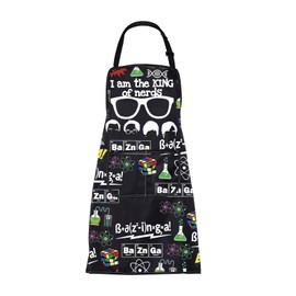Big Bang Apron with Pockets Big Bang Gifts TV Show Gifts Leonard Hofstadter Gift I'm The King of The Nerds Tbbt Gifts Apron