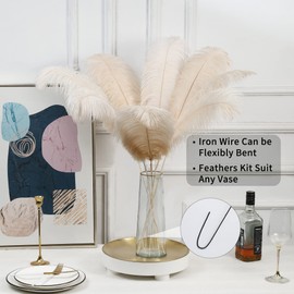 Soarer Champagne Large Ostrich Feathers - 10Pcs Making Kit 34inch Extra Large Ostrich Feathers Long for Tall Vase,Floral Arrangement,Wedding Party Centerpieces and Home Decoration(Champagne)