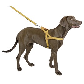 Kerbl Reflective Norwegian Harness, 20 mm x 65 - 85 cm