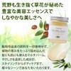 [Beauty Salon Original] EARTHEART Vegan Balm (For Hair & Body)