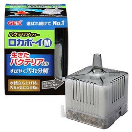 Gex GEX Roka Boy Bacteria Power Body Quickly Dissolves Dirt Black Smoke M