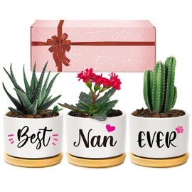 Giftasy Nan Gifts, Nan Birthday Gifts, Best Nan Ever Succulent Pots Gifts for Nan from Grandchildren, Unique Garden Gift Ideas for Nan on Mother's Day for Nan