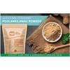 White Turmeric (Poolankilangu,Curcuma Zedoaria,Kachur Root) Ground Powder 8 Ounces(226 Grams),