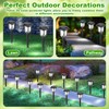 Tuanse 20 Pcs Solar Outdoor Garden Pathway LED Lights Bulk