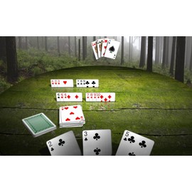 Silver Generation Kartenspiele Deluxe 2023 (Windows 11 / 10)