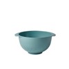 Rosti 245606 Colander, Nordic Green