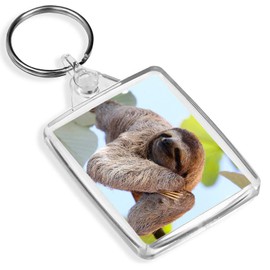 Cute Lazy Sloth Keyring - IP02 - Wild Animal Lazy Sloths Nature 8487