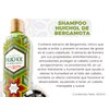Shampoo Huichol Bergamota Té Verde (crecimiento) 400 Ml