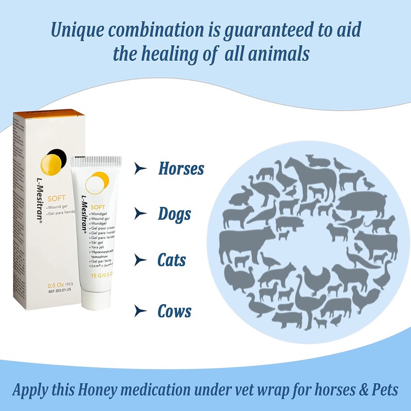 Soft Honey Wound Gel by L-Mesitran Hypoallergenic Medical Grade Ointment