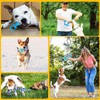 Juego de Juguetes para Perros de 10 Piezas - Juguetes