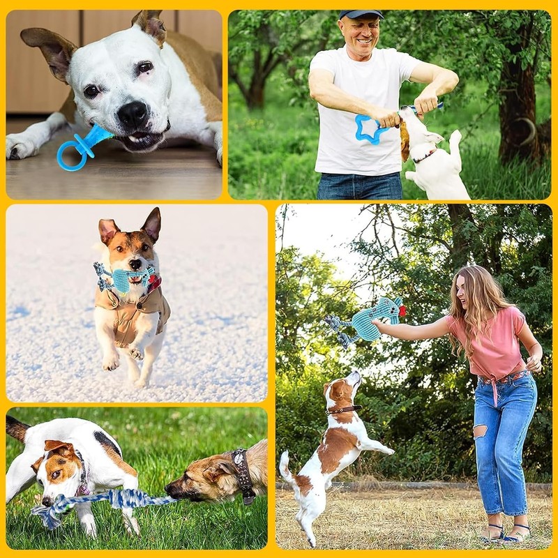 Juego de Juguetes para Perros de 10 Piezas - Juguetes
