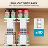 Nieifi Pull Out Spice Rack Organizer, 2 Tiers, White, Spice