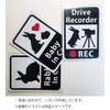 Dash Cam Sticker "Rabbit and Video Camera" (Re-peel Sticker) s21r