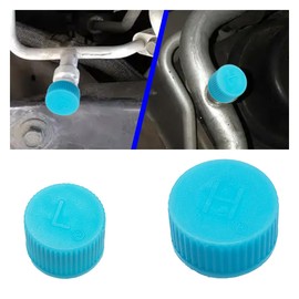 2PCS Car A/C Charging Valve Caps, Leakproof R134a Air Conditioning System Charging Port Caps Replacement, High and Low Pressure Ac Caps Auto A/C Valve Core Caps Seal Kit for Most Cars (2PCS)
