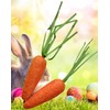 Tallon International Easter Decorations, Bonnet Arts and Crafts, Egg Hunt