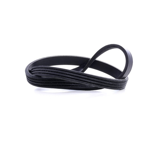 febi bilstein 39781 Auxiliary Belt, pack of one