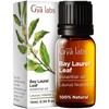 Gya Labs Gya Labs Bay Leaf Essential Oil for Diffuser