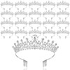 20 Pcs Crystal Queen Tiara Crown for Women with Combs,