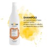 Kit Yellow Repair Profesional Shampoo + Acondicionador 500ml
