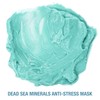 Freeman Feeling Beautiful Dead Sea Minerals Clay Mask, 6-Ounce, 2