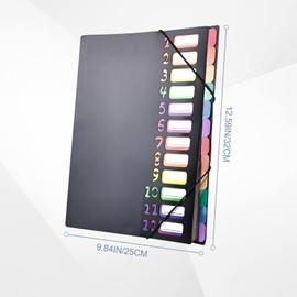 Delamiya Dokumentenmappe A4, Tragbar Fächermappe mit 12 Fächern, PP Kunststoff Ordnungsmappe Pultordner mit Gummizug, Wasserdicht, für Schule Bürobedarf