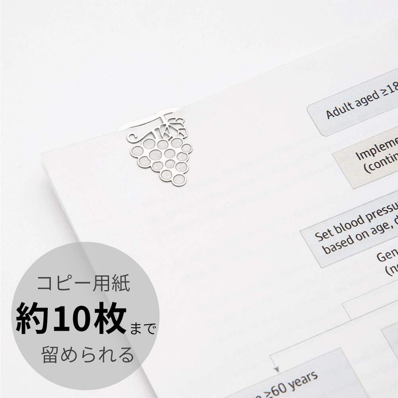 Midori Clip Etched Clips Fruit Pattern 43365006