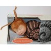 Anne Geddes 579168 Brown Snail Doll / Brown Snail 9