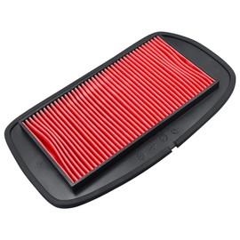 Cnornus Air Filter for Yamaha FZ6 2004-2010 FZ6 Fazer 600 2004-2006 FZ6 S2 2007-2009