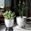 XKYQSY 4 Pack 4 inch Self Watering Pots Planters for