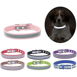 Collar reflectante para cachorro, perro y gato, más seguro por la noche, color morado, talla S