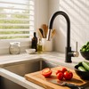 Pacific Bay Bellevue Pull-Down Kitchen Faucet – Single-Handle with in-Line