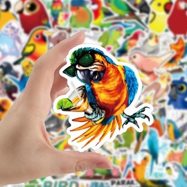 Bric Dodo Pack of 50 No Stickers Car Laptop Phone Guitar Skateboard Motorcycle Bicycle Parrot Stickers Set Vinyl Waterproof Aesthetic Stickers for Teenagers Children Adults