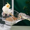 AIMALL Parrot Acrylic Stainless Steel Food Basin Box, Anti-Scattering Feeder