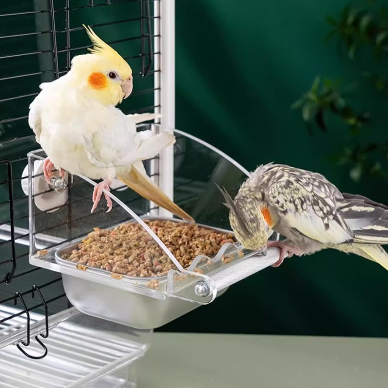 AIMALL Parrot Acrylic Stainless Steel Food Basin Box, Anti-Scattering Feeder