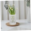 Kisangel Ceramic Orchid Pots with Drainage Holes for Flower Planter