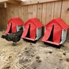 Difsight Roll Away Chicken Nesting Box, 13° Auto Egg Collection