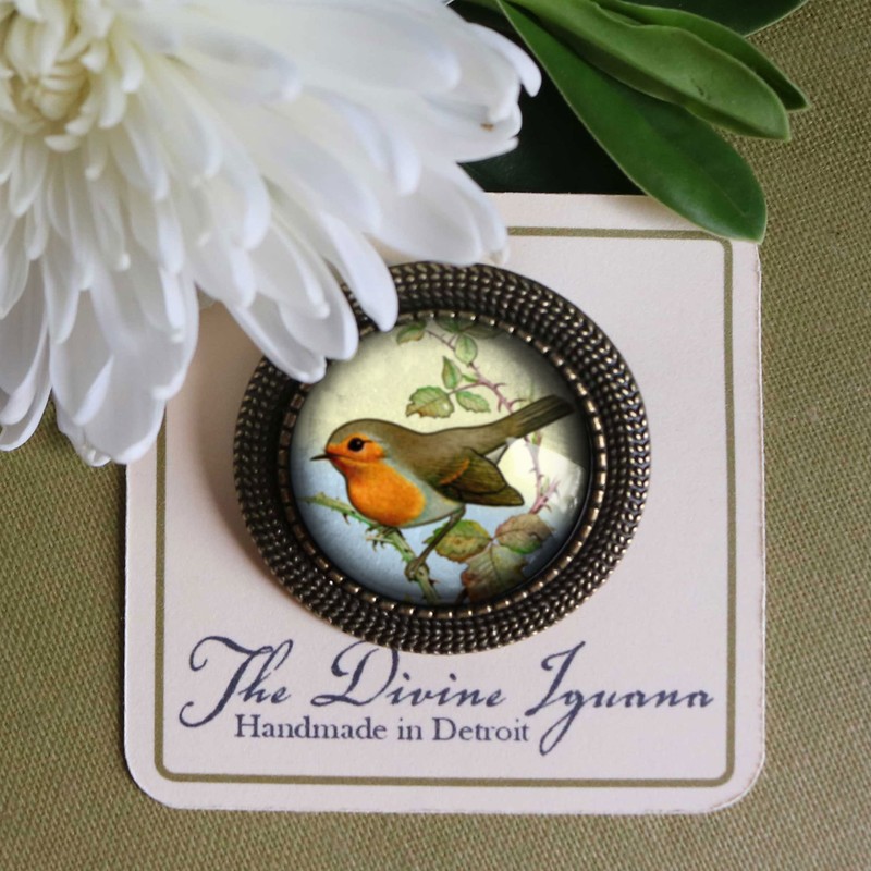 Spring Robin Glass And Brass Brooch Reversed Decoupage Cabochon Brooch