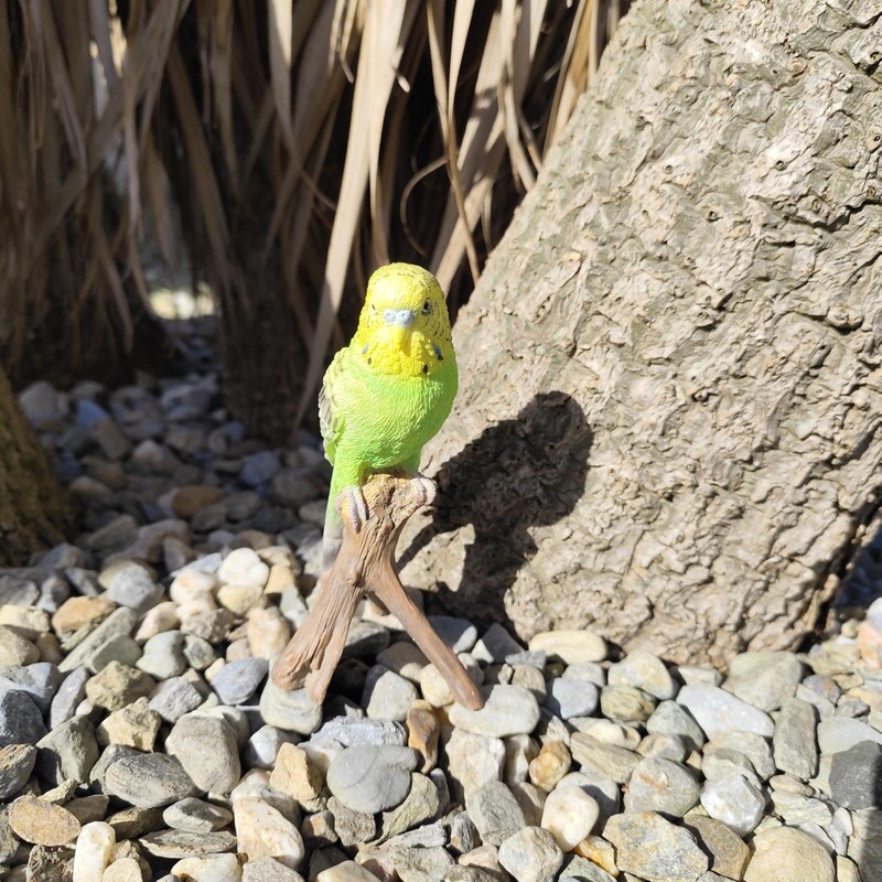 Vivid Arts - Budgies Garden Ornament Bird Sculpture (Budgie, Green)