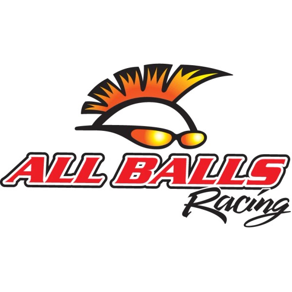 All Ball Racing Master Cylinder Rebuild Kit For Polaris Sportsman