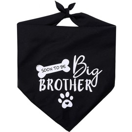 Big Brother - Bandana reversible para perro, diseño triangular, Negro